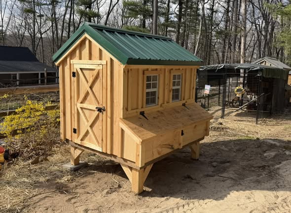 XL Chicken Coop
